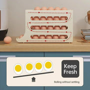 Efficient Egg Storage Solution