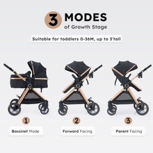 Cozy Convertible Baby Stroller