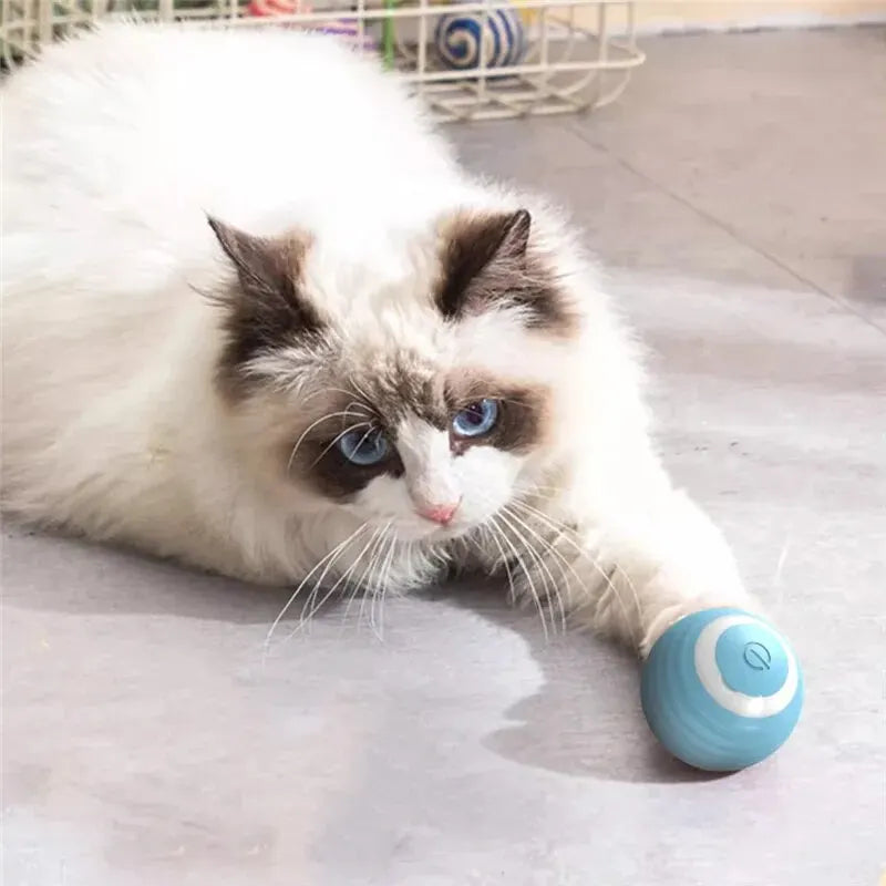 Magic Motion Cat Ball Toy